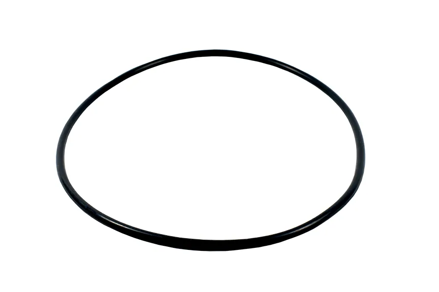 O-ring for pump cover( D163*3.5)